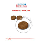 Royal Canin Hair & Skin Care 2KG  Adult Dry Cat Food Feline Care - Royal Canin