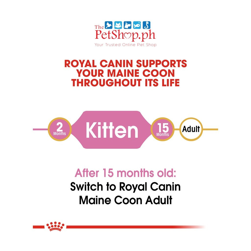 Royal Canin Maine Coon Kitten 2kg Dry Cat Food - Feline Breed Nutrition