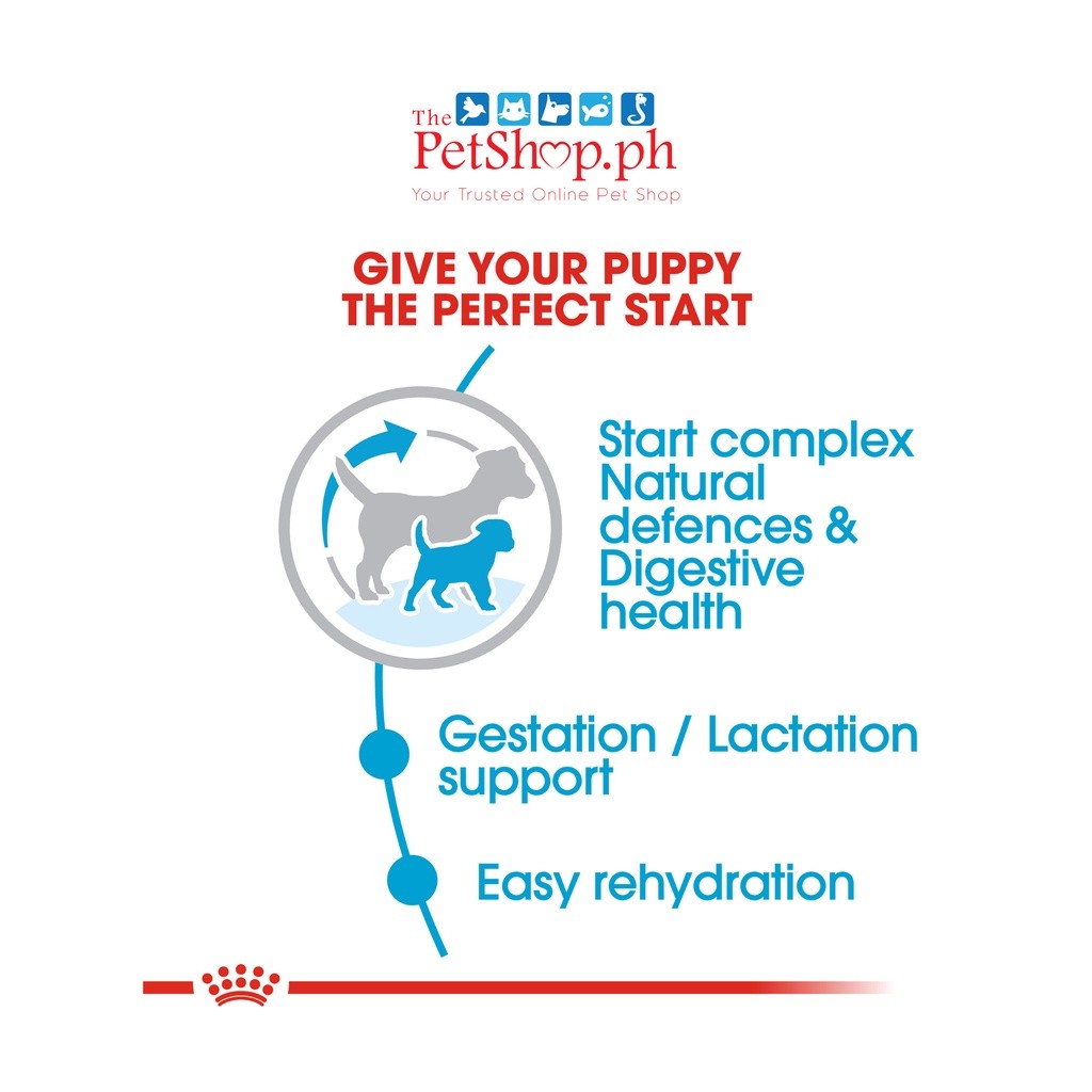 Royal Canin Mini Starter Mother & Babydog 1kg Size Dry Dog Food Health Nutrition - Royal Canin