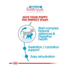 Royal Canin Mini Starter Mother & Babydog 1kg Size Dry Dog Food Health Nutrition - Royal Canin