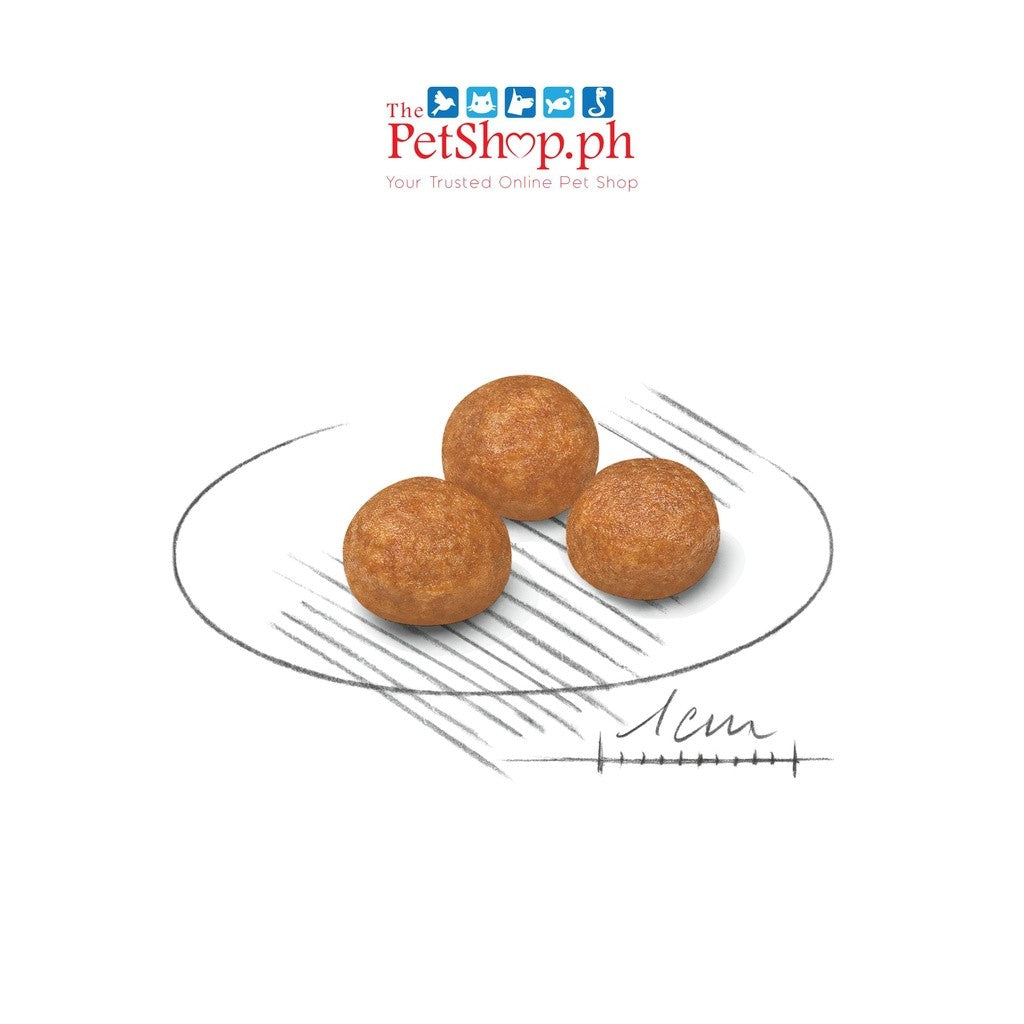 Royal Canin X-small Adult 1.5 kg  Dog Food -  Size Health Nutrition