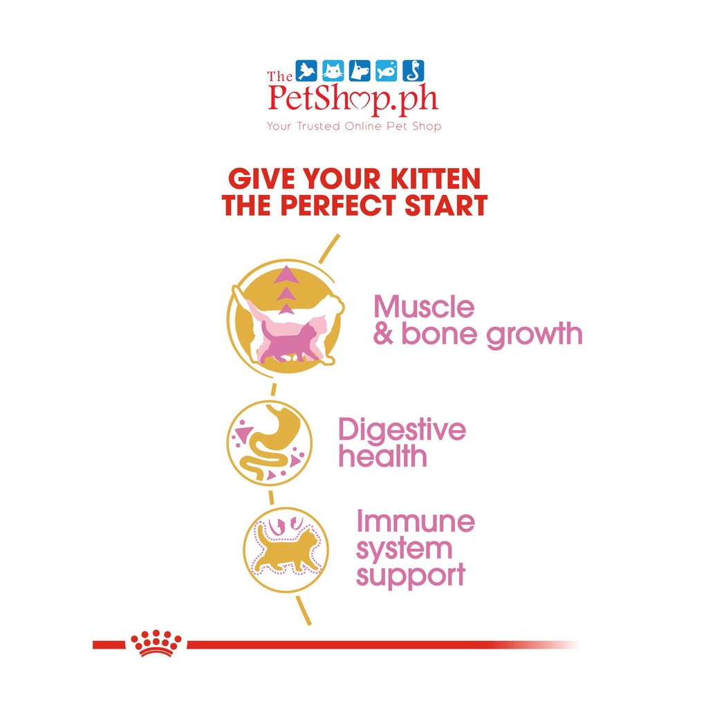 Royal Canin British Shorthair Kitten 2kg Dry Cat Food Feline Breed Nutrition - Royal Canin
