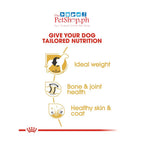 Royal Canin Labrador Retriever 3kg Adult Food-Breed Health Nutrition - Royal Canin