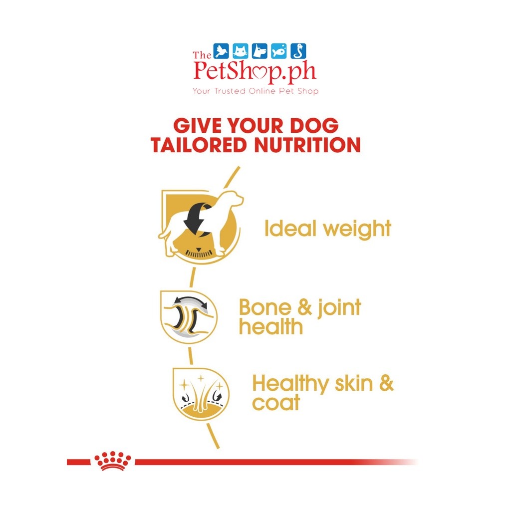 Royal Canin Labrador Retriever 3kg Adult Food-Breed Health Nutrition - Royal Canin