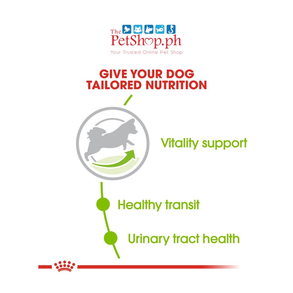 Royal Canin X-Small Adult 8+ 1.5kg Dry Dog Food - Size Health Nutrition - Royal Canin