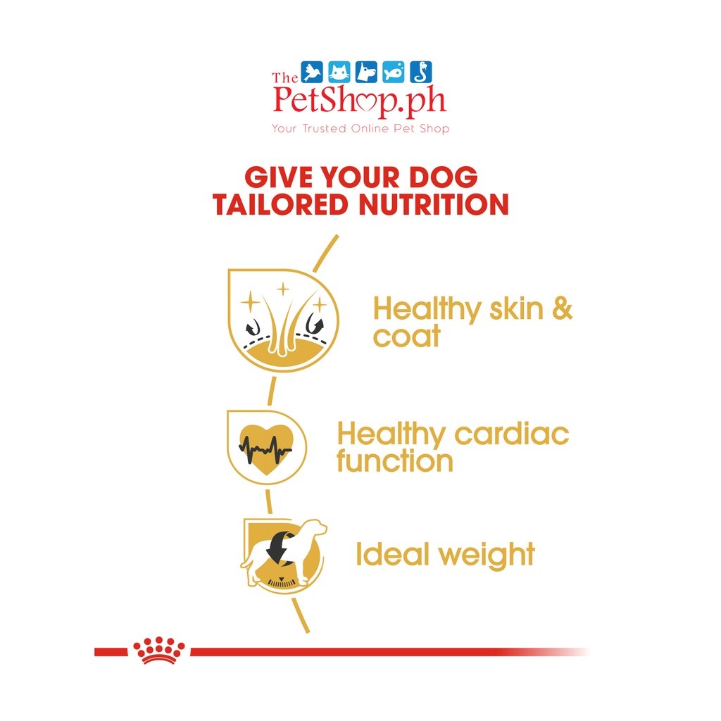 Royal Canin  Golden Retriever 3kg Adult Dry Food Breed Health Nutrition