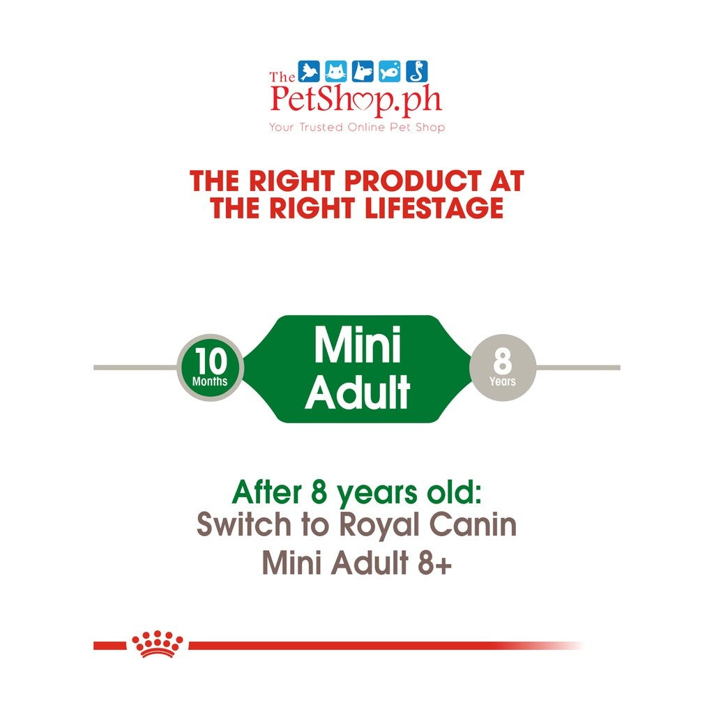 Royal Canin Mini Adult  800g Dry Dog Food  - Size Health Nutrition - Royal Canin
