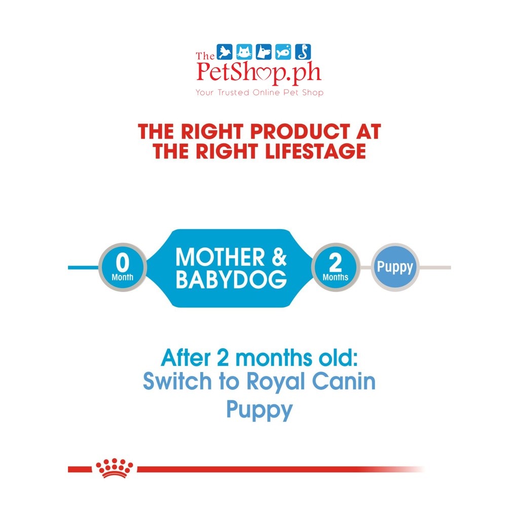 Royal Canin Mother & Babydog 195g Starter Mousse Wet - Canine Health Nutrition