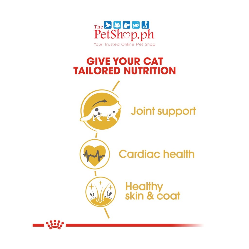 Royal Canin  Maine Coon 2kg Adult Dry Cat Food Feline Breed Nutrition - Royal Canin