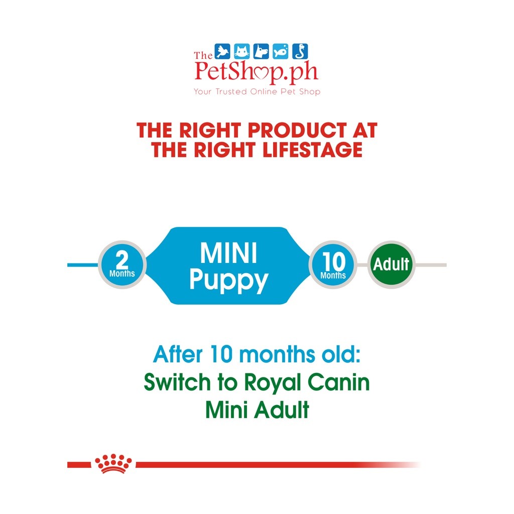 Royal Canin Mini Puppy 8kg