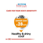 Royal Canin Mini Coat Care Adult 3kg Dry Dog Food  Canine Care Nutrition Loaf