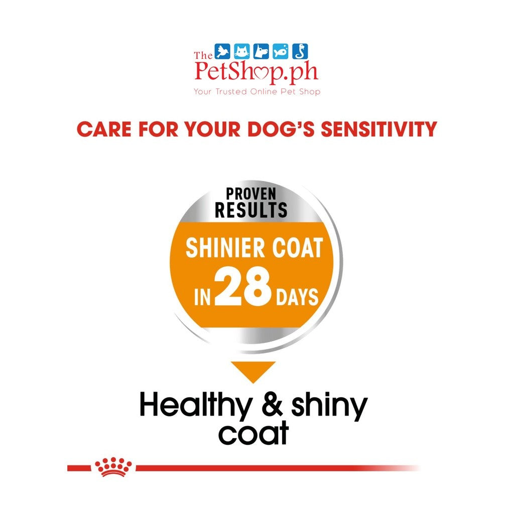 Royal Canin Mini Coat Care Adult 3kg Dry Dog Food  Canine Care Nutrition Loaf