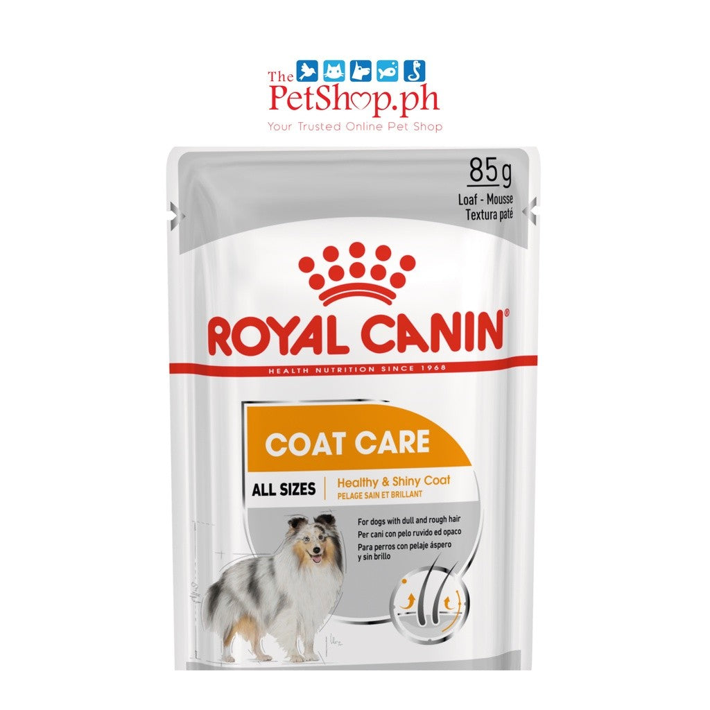 Royal Canin Coat Care SET of 12 Loaf  Adult Wet Dog Food