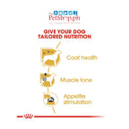 Royal Canin Poodle Adult 85g Wet Dog Food - Breed Health Nutrition