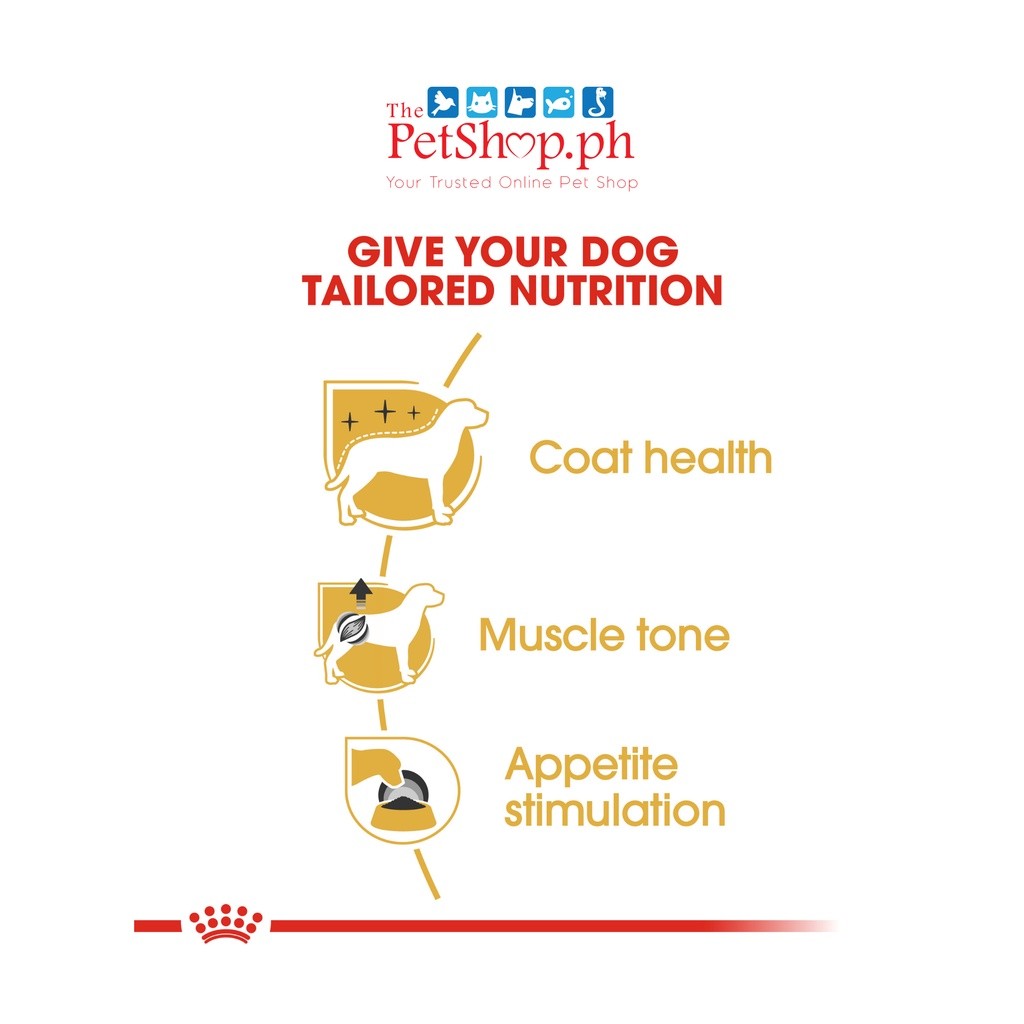 Royal Canin Poodle Adult 85g Wet Dog Food - Breed Health Nutrition