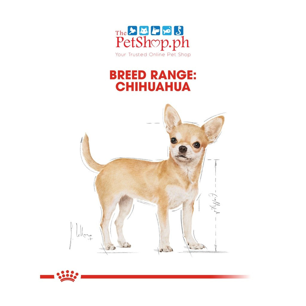 Royal Canin Chihuahua 1.5kg Adult Dry Dog Food Breed Health Nutrition
