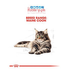 Royal Canin  Maine Coon  85g Adult Wet Cat Food Feline Breed Nutrition