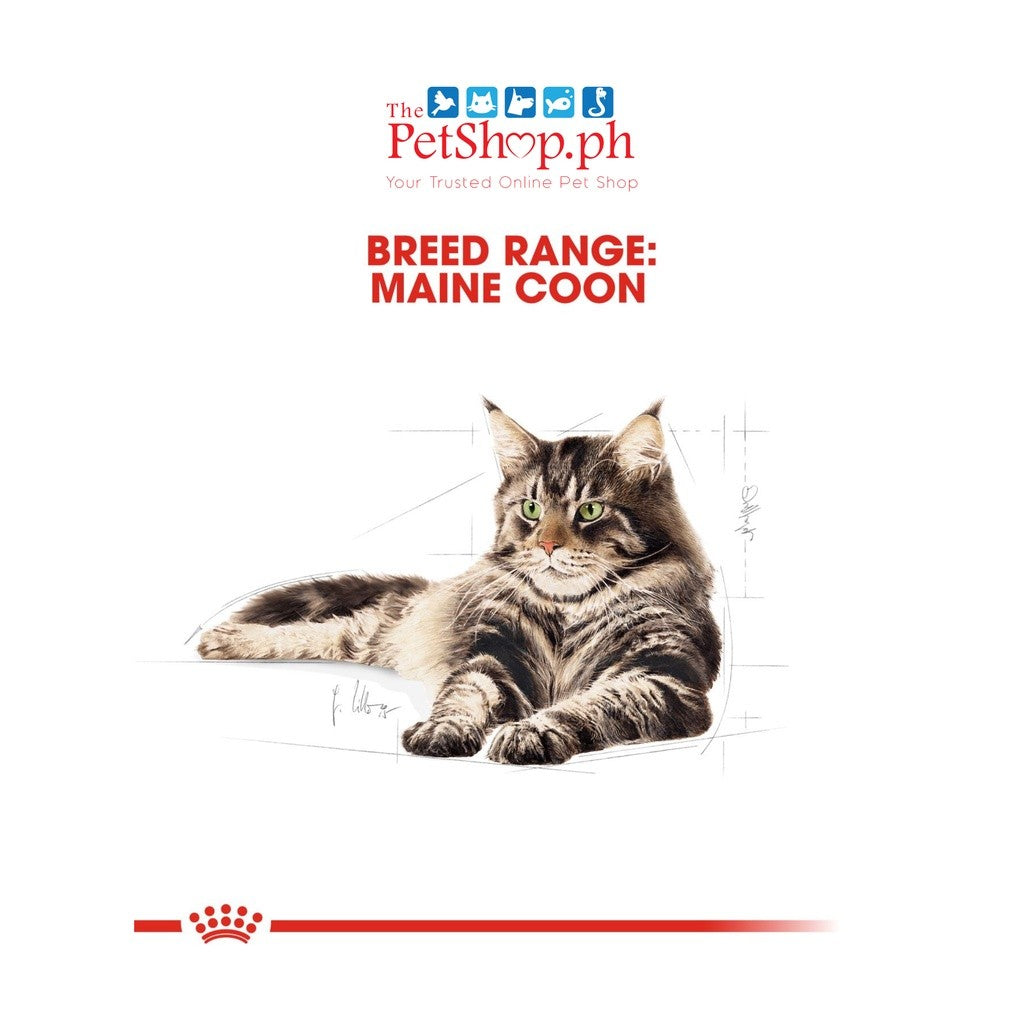 Royal Canin Maine Coon 12's Adult Wet Cat Food 85g - 12pcs