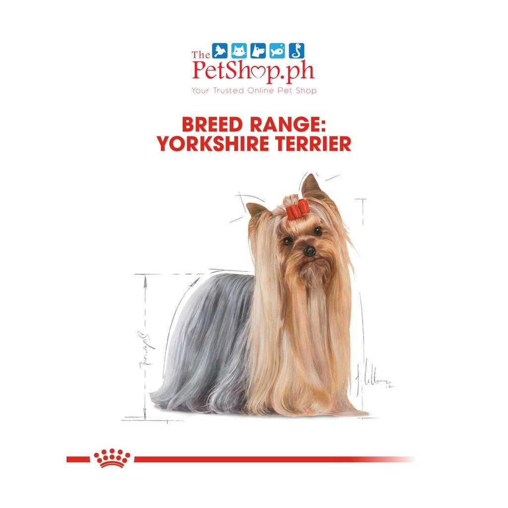 Royal Canin Yorkshire Adult 1.5kg  Dry Dog Food