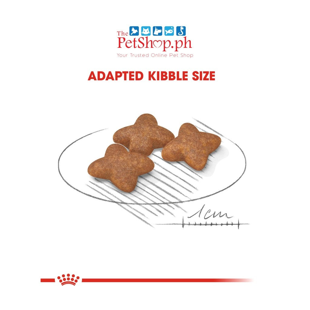 Royal Canin Mini Adult Food 8kg  Dog Food Size Health Nutrition