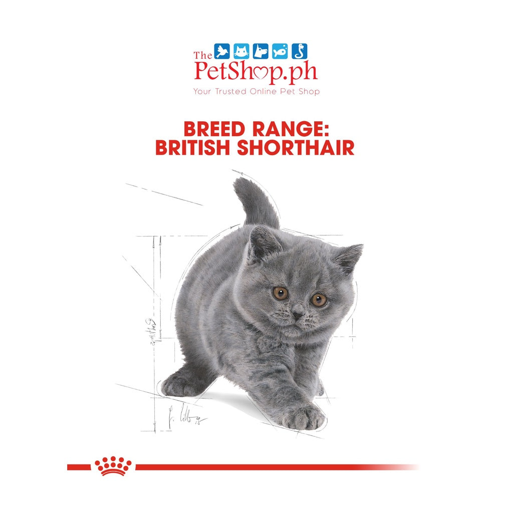 Royal Canin British Shorthair Kitten 2kg Dry Cat Food Feline Breed Nutrition - Royal Canin