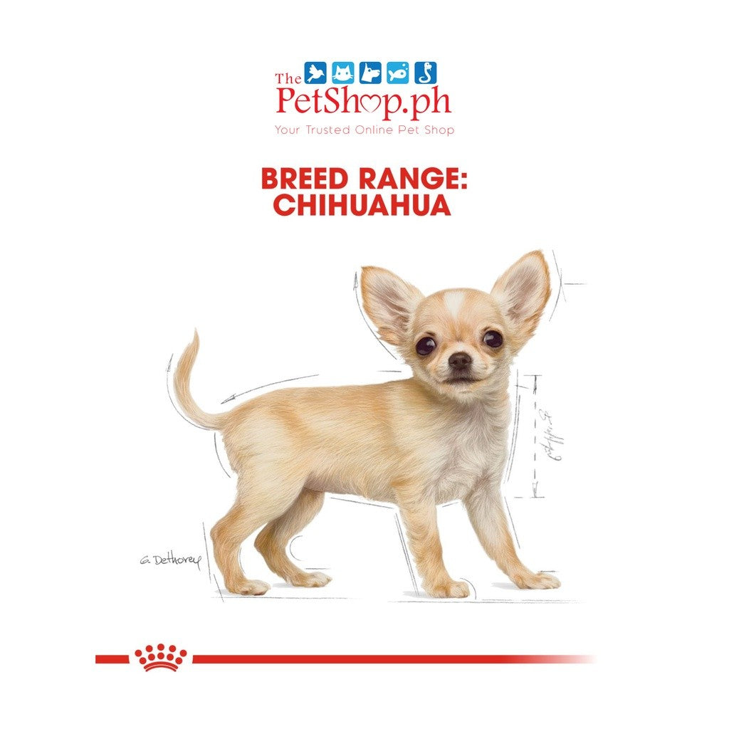 Royal Canin Chihuahua Puppy 500g Dry Dog Food Breed Health Nutrition - Royal Canin