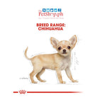 Royal Canin Chihuahua Puppy 500g Dry Dog Food Breed Health Nutrition - Royal Canin