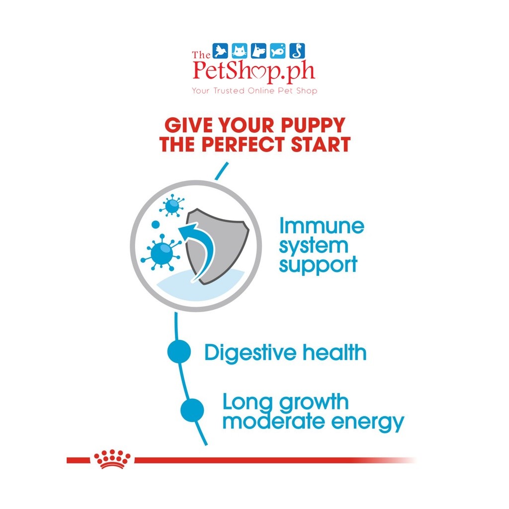 Royal Canin Maxi Puppy 140g Wet Dog Food - Size Health Nutrition
