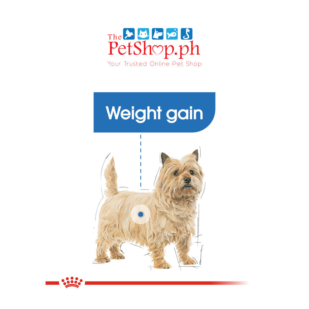 Royal Canin Light Weight Mini Dry 1kg - Canine Care Nutrition