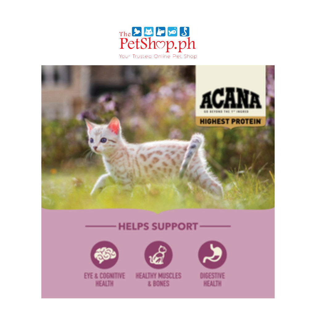Acana Highest Protein, Kitten Recipe 1.8kg ((FREE 1 INABA CHURO Kitten Stick 14g)