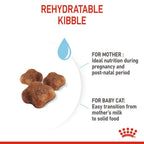 Royal Canin SET 2 Mother BabyCat 4kg Dry Cat Food