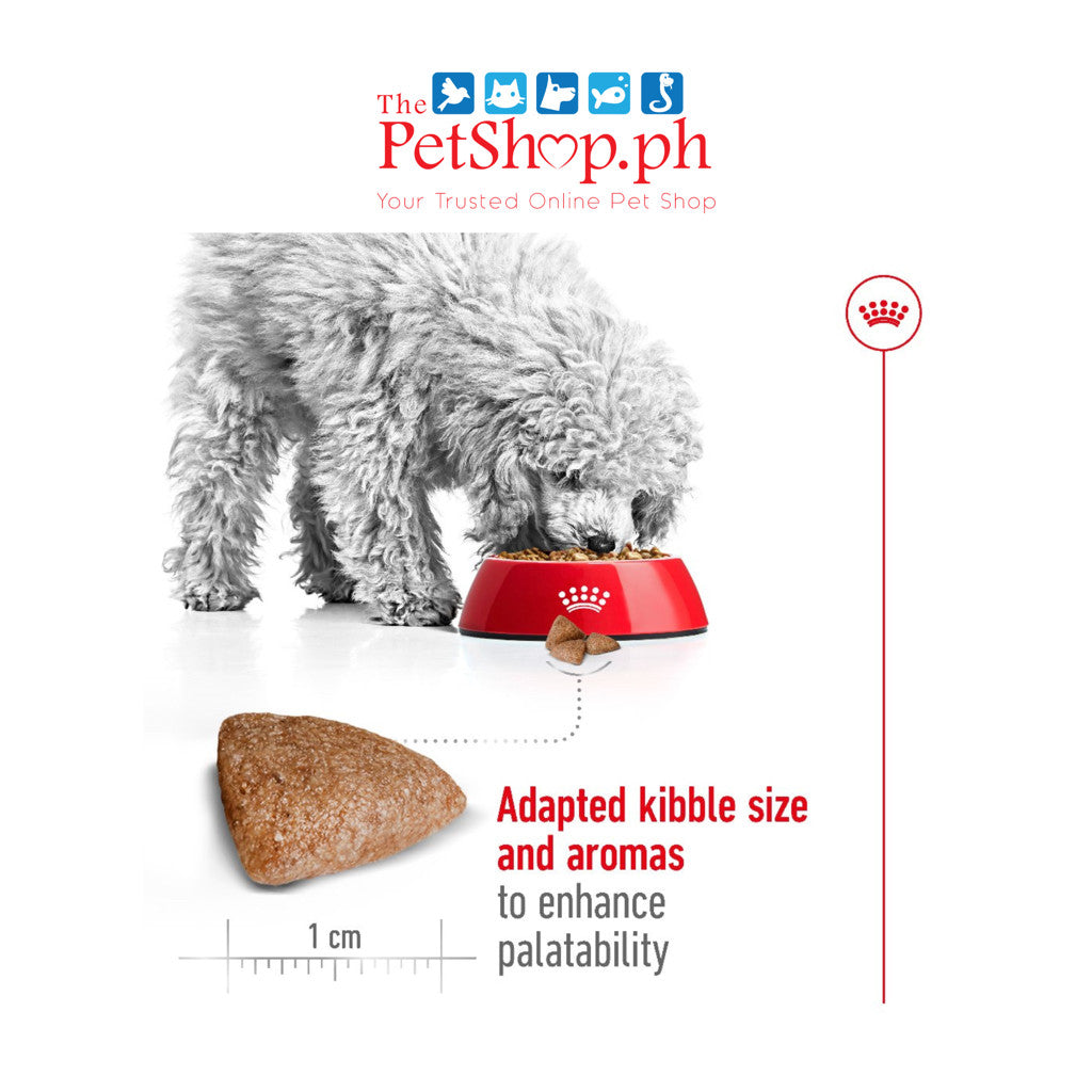 Royal Canin Mini Indoor Adult 1.5kg Dry DogFood size health nutrition