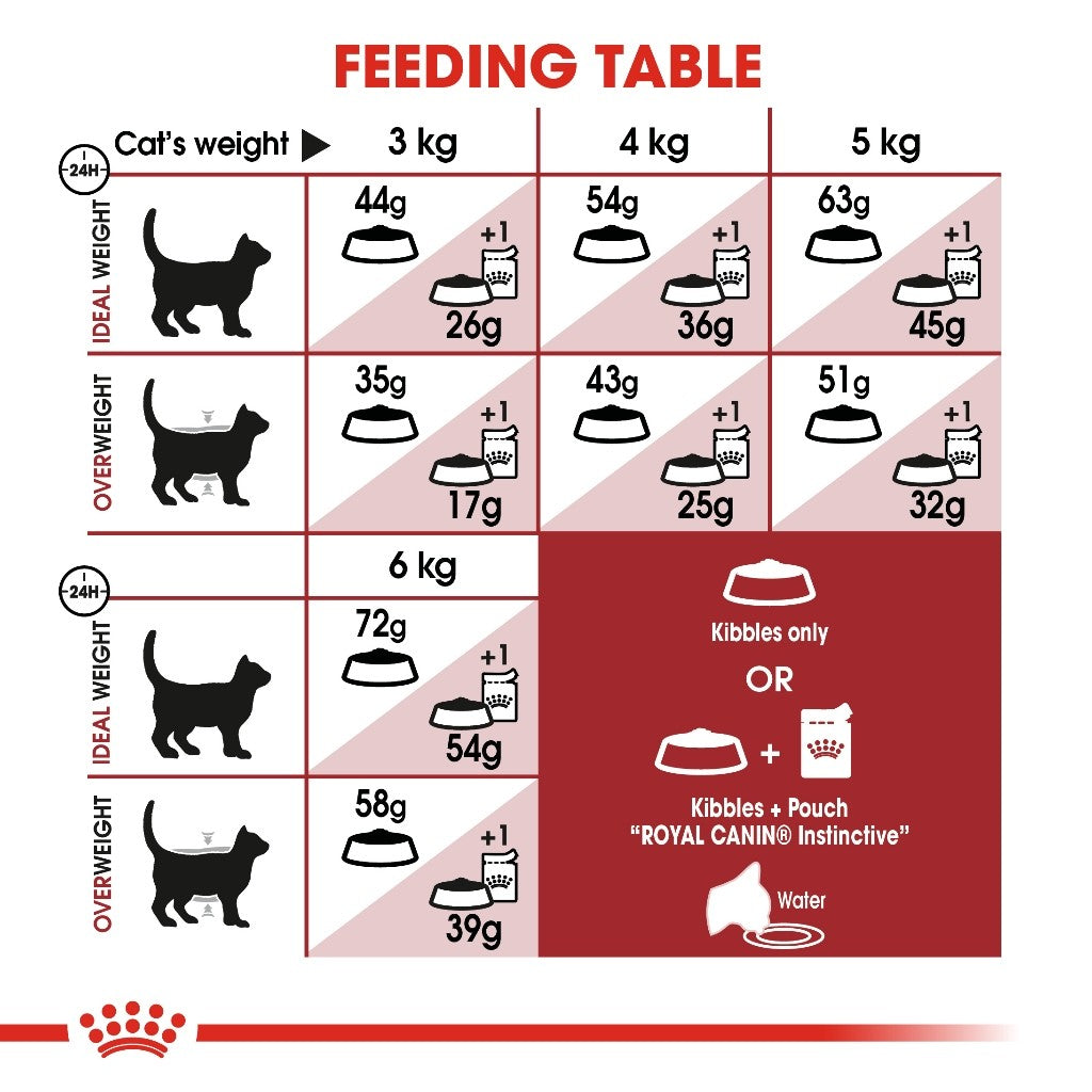 Royal Canin  Fit 32 Adult SET of 2  Dry Cat Food 2kg x 2 - Royal Canin