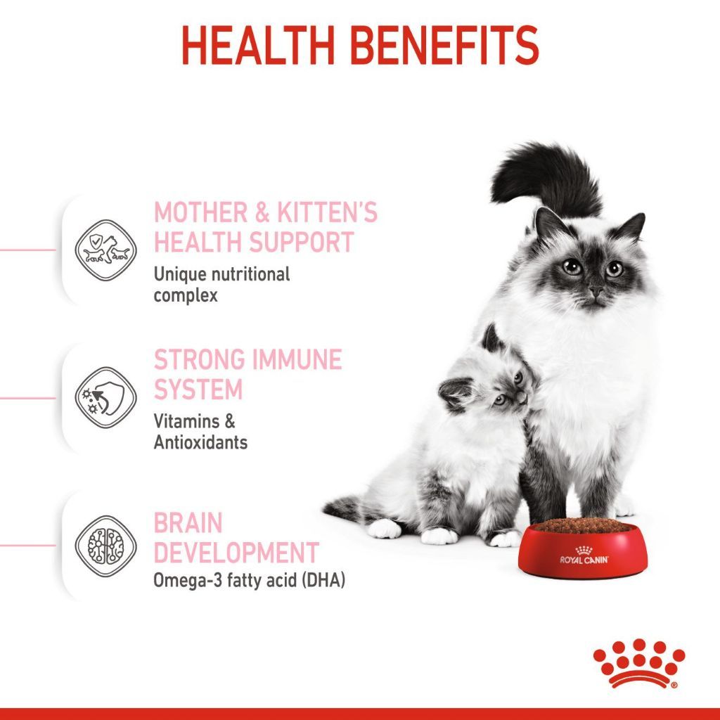 Royal Canin SET 2 Mother BabyCat 4kg Dry Cat Food