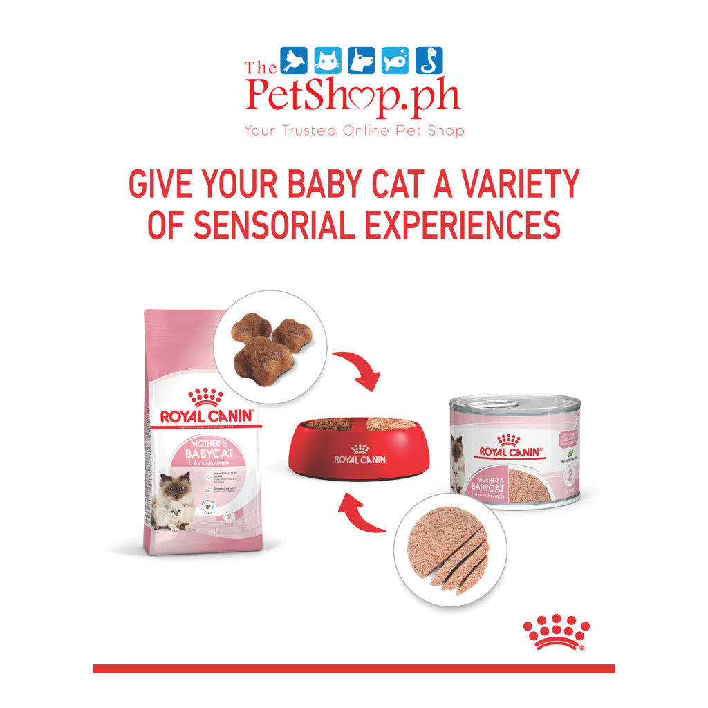 Royal Canin Mother & Babycat Mousse (195g) Can Wet CAT Food - Feline Health Nutrition