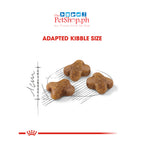 Royal Canin SET of 2 Kitten 36 2Kg Dry Cat Food