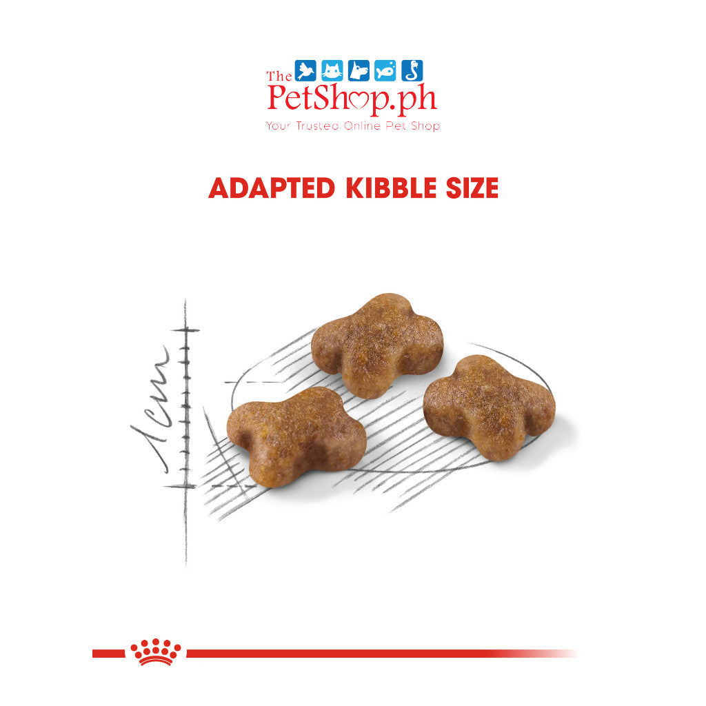 Royal Canin SET of 2 Kitten 36 2Kg Dry Cat Food