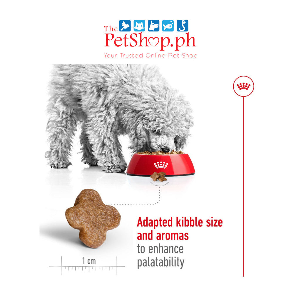 Royal Canin Mini Adult 8+ Mature 2kg Dry Dog Food - Size Health Nutrition