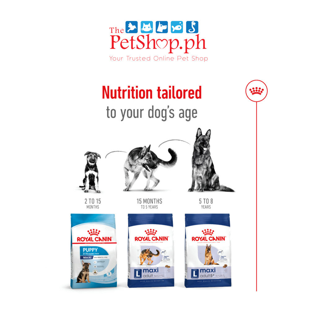 Royal Canin Maxi Adult 4kg Dry Dog Food Size Health Nutrition