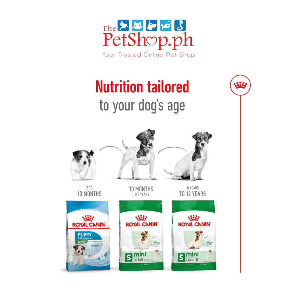 Royal Canin Mini Adult 8+ Mature 2kg Dry Dog Food - Size Health Nutrition