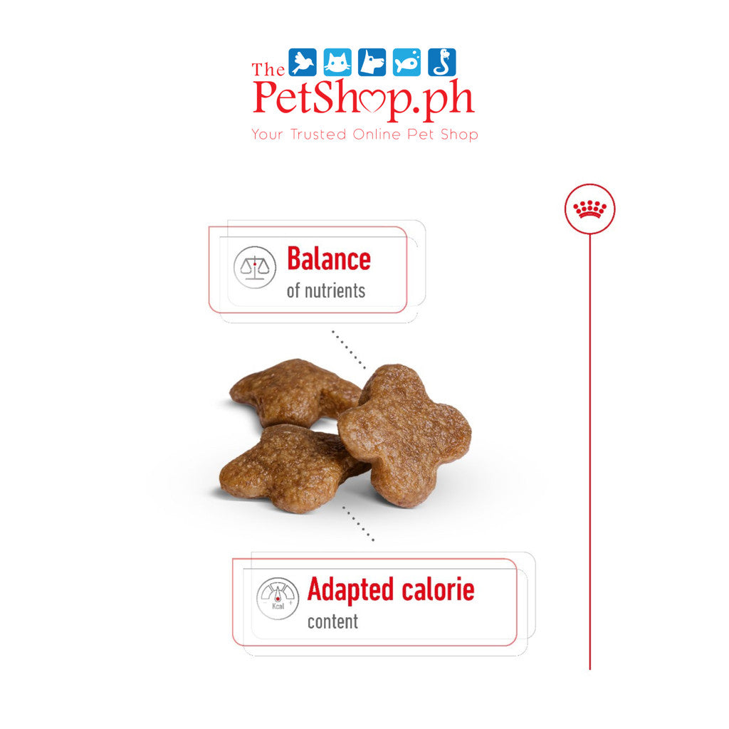 Royal Canin Mini Adult 8+ Mature 2kg Dry Dog Food - Size Health Nutrition
