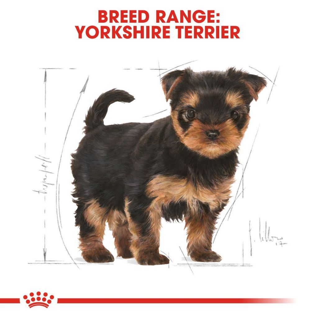 Royal Canin Yorkshire Puppy 1.5kg - 1.5kg