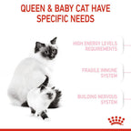 Royal Canin SET 2 Mother BabyCat 4kg Dry Cat Food