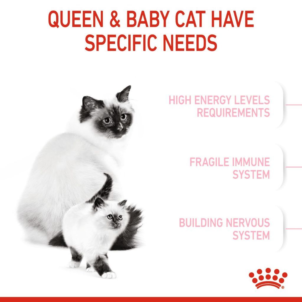 Royal Canin SET 2 Mother BabyCat 4kg Dry Cat Food