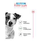 Royal Canin Mini Adult 8+ Mature 2kg Dry Dog Food - Size Health Nutrition