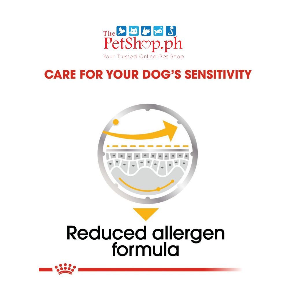 Royal Canin Dermacomfort Wet 85g- Adult Dog 85g - Royal Canin