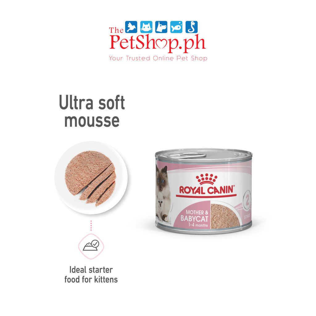 Royal Canin Mother & Babycat Mousse (195g) Can Wet CAT Food - Feline Health Nutrition
