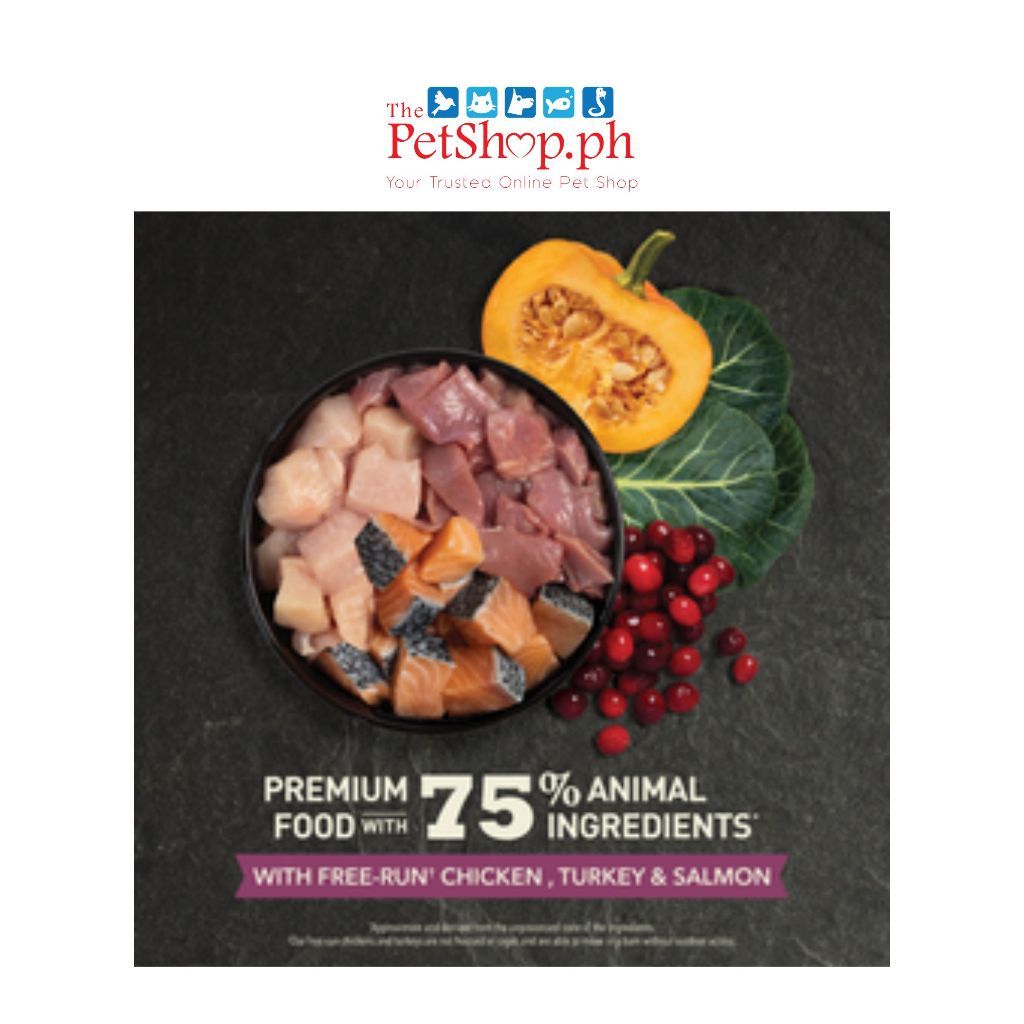 Acana Highest Protein, Kitten Recipe 1.8kg ((FREE 1 INABA CHURO Kitten Stick 14g)
