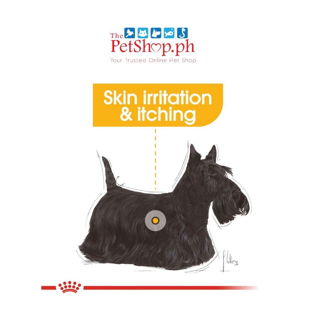 Royal Canin Dermacomfort Wet 12's - Adult Dog 85gx12