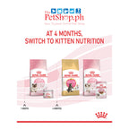 Royal Canin Mother & Babycat Mousse (195g) Can Wet CAT Food - Feline Health Nutrition